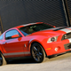 Illustration for article titled 2010 Shelby GT500